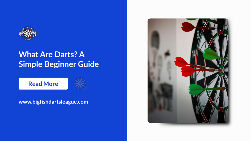 What Are Darts? A Simple Beginner Guide