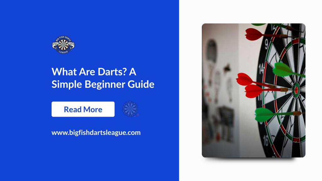What Are Darts? A Simple Beginner Guide